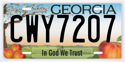 GA license plate CWY7207