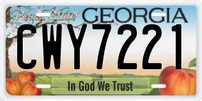 GA license plate CWY7221