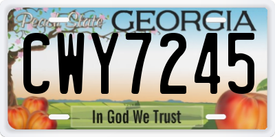 GA license plate CWY7245