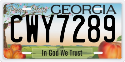 GA license plate CWY7289