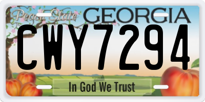 GA license plate CWY7294