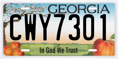 GA license plate CWY7301