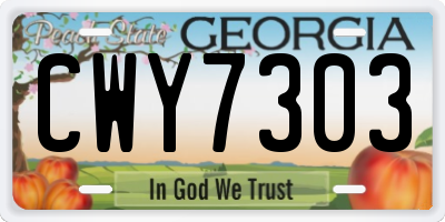 GA license plate CWY7303