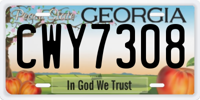 GA license plate CWY7308