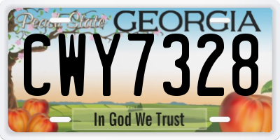 GA license plate CWY7328