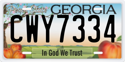 GA license plate CWY7334