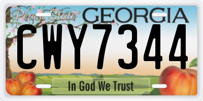 GA license plate CWY7344