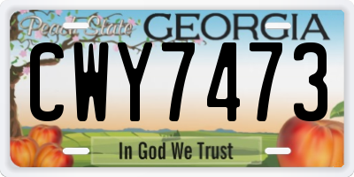 GA license plate CWY7473