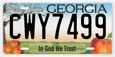 GA license plate CWY7499