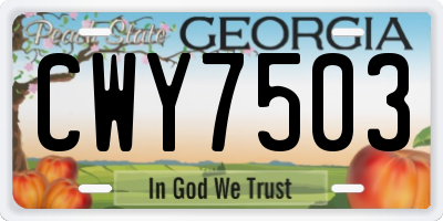 GA license plate CWY7503