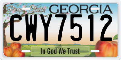 GA license plate CWY7512