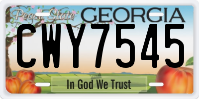 GA license plate CWY7545