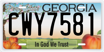 GA license plate CWY7581
