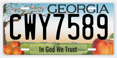 GA license plate CWY7589