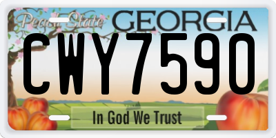 GA license plate CWY7590