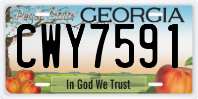 GA license plate CWY7591