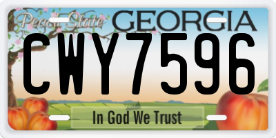 GA license plate CWY7596