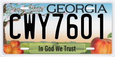 GA license plate CWY7601