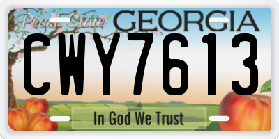 GA license plate CWY7613