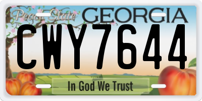 GA license plate CWY7644