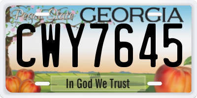 GA license plate CWY7645