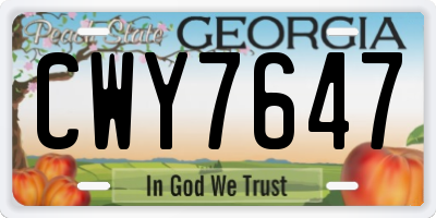 GA license plate CWY7647