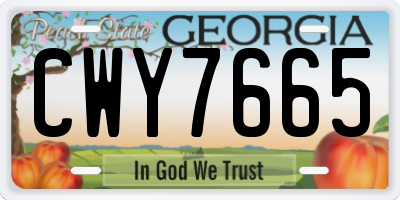 GA license plate CWY7665