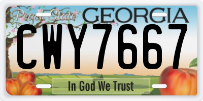 GA license plate CWY7667