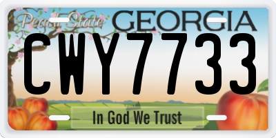 GA license plate CWY7733