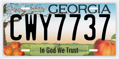 GA license plate CWY7737
