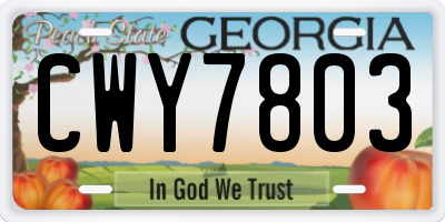 GA license plate CWY7803