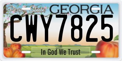GA license plate CWY7825