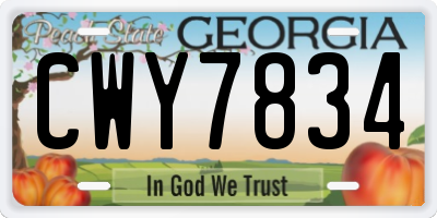 GA license plate CWY7834