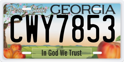 GA license plate CWY7853