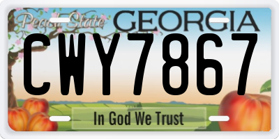 GA license plate CWY7867