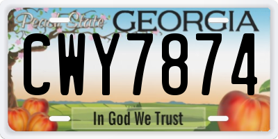 GA license plate CWY7874