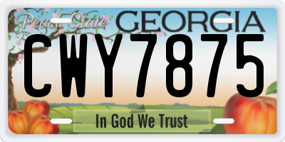 GA license plate CWY7875