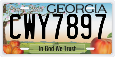 GA license plate CWY7897