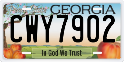 GA license plate CWY7902