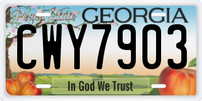 GA license plate CWY7903
