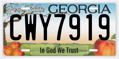 GA license plate CWY7919