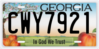 GA license plate CWY7921