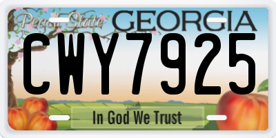 GA license plate CWY7925