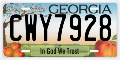 GA license plate CWY7928