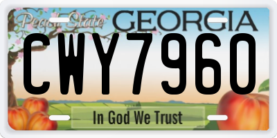 GA license plate CWY7960
