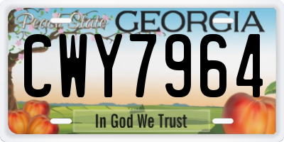 GA license plate CWY7964