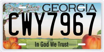 GA license plate CWY7967