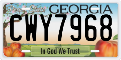GA license plate CWY7968
