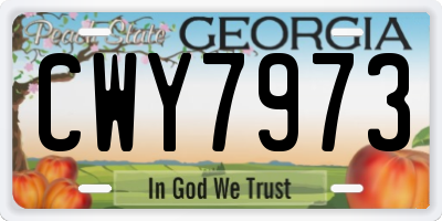 GA license plate CWY7973