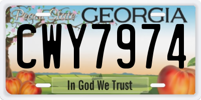 GA license plate CWY7974